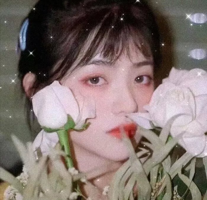 自行车与旧电钢